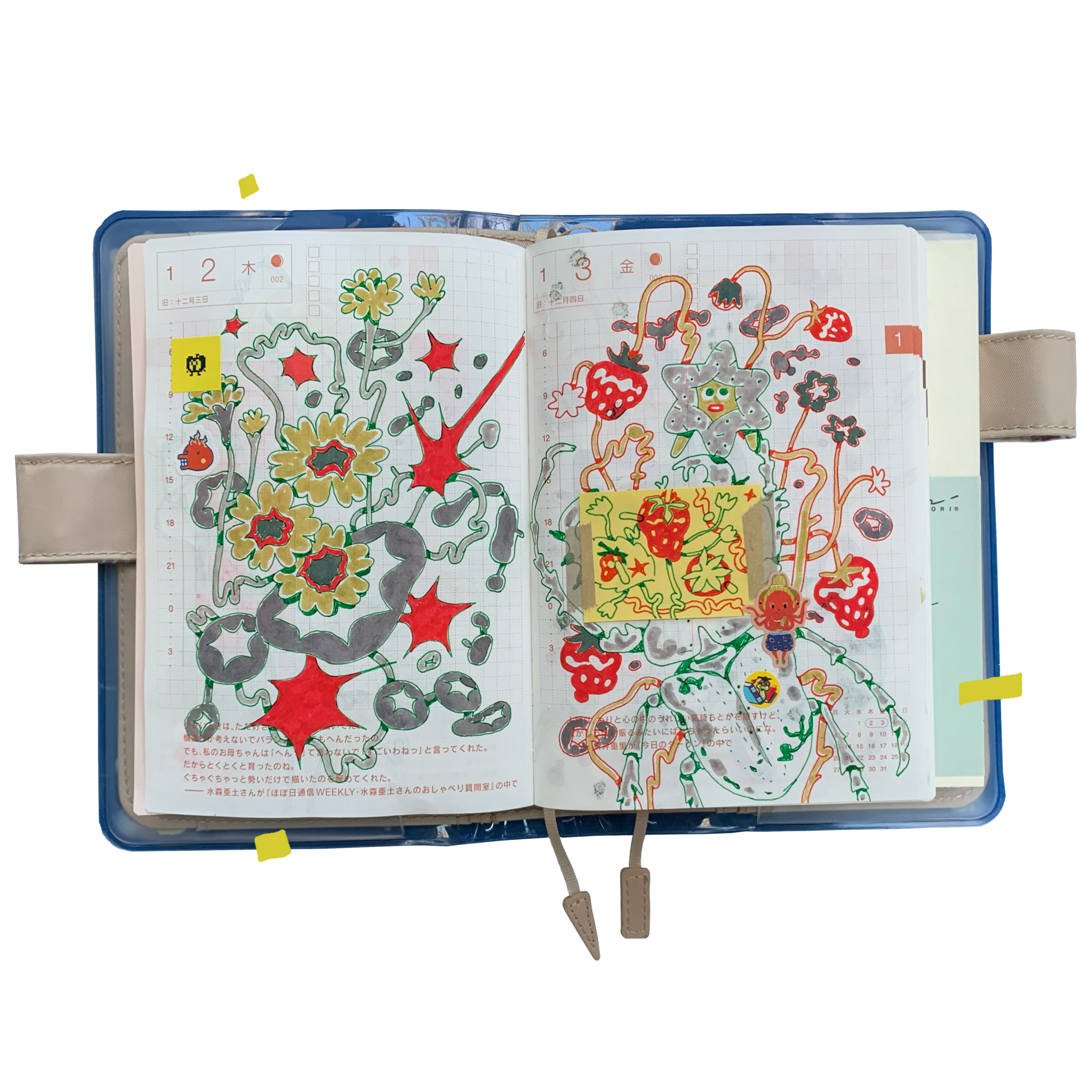 hobonichi &#39;25 days 2+3